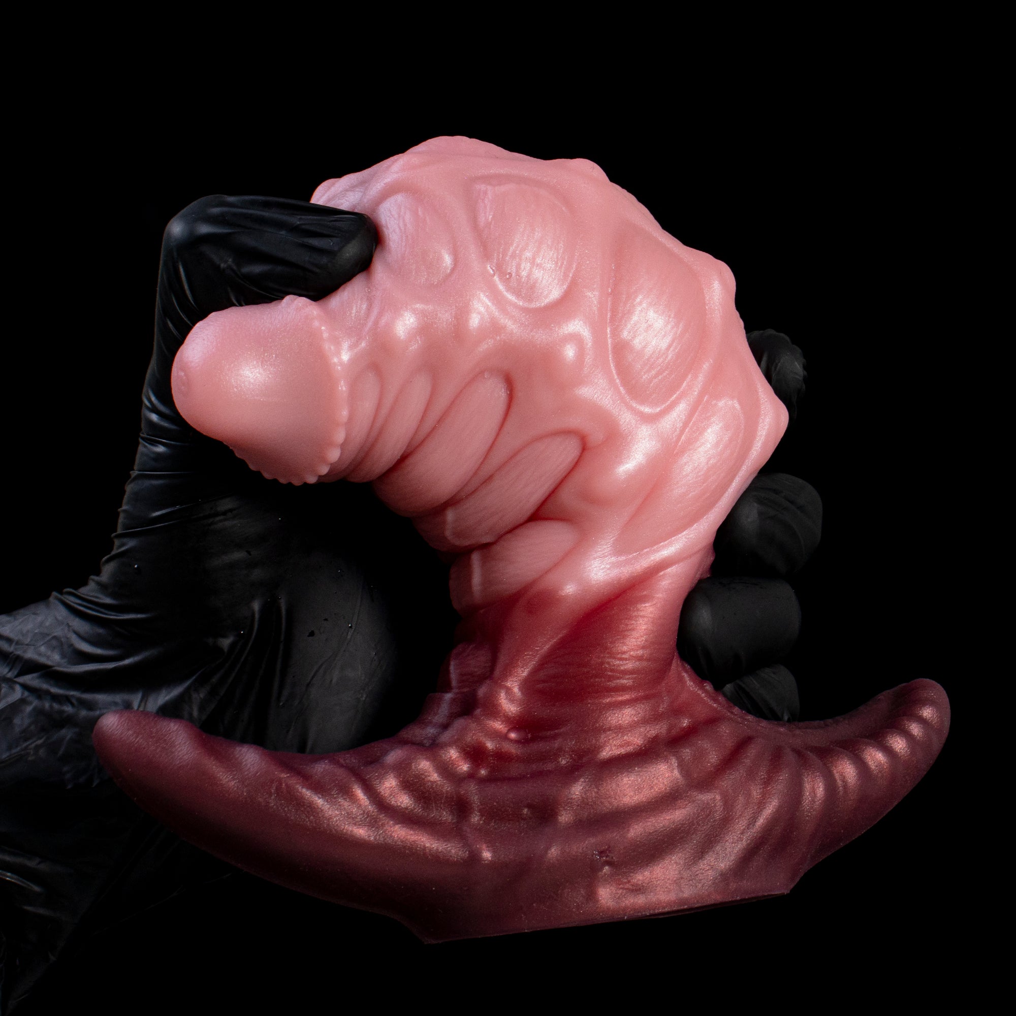 Gloved hand holding a Sky-Drift Seahorse anal plug by the body, above its wide flared base, showing the narrow tip that goes in first